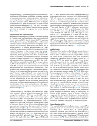 pathogen causing a wide range of pathological conditions,
including the fifth disease in children, persistent anemia
in immunocompromised patients, transient aplastic cri-
ses, hydrops fetalis in pregnant women, and arthropathy
[52]. Yet, in healthy adults, B19V infections are largely
asymptomatic [58], with the prevalence of up to 25% in
healthy human skin biopsies [59]. Thus, B19V is a condi-
tional component of the ‘healthy’ human virome that can
turn into a pathogen in response to various factors
(Figure 1b).
Polyomaviruses and Papillomaviruses
Monodnaviria includes class Papovaviricetes that consists
of Polyomaviridae and Papillomaviridae, two families of
viruses with small (5–8 Kbps), circular dsDNA genomes
[60,61]. Papovaviruses are thought to have evolved from
parvoviruses [48], with polyomaviruses emerging in inver-
tebrates and co-evolving with animals for at least half a
billion years [62]. In humans, polyomaviruses lead a low-
profile life styles characterized by low propagation levels,
evasion of clearance by the immune system and asymp-
tomatic infections in immunocompetent individuals [60].
Apparently, human polyomaviruses have evolved mech-
anisms to limit their own reproduction levels in order to
establish persistent infections [63]. A poster child human
polyomavirus is John Cunningham virus (JCV) that estab-
lishes life-long latent infections [64]. The seroprevalence
of JCV and other human polyomaviruses in adults can
reach 90% or higher, with common coinfection by several
polyomaviruses that are transmitted through direct con-
tacts between humans or through contaminated objects.
Contrary to their name and the oncogenic potential of the
large T (tumor) antigen (the early virus protein involved
in genome replication) in experimental settings, most of
the human polyomaviruses are not oncogenic. The Mer-
kel cell polyomavirus is the only one that has been
convincingly identified as the etiological agent of the
eponymous carcinoma, a skin cancer caused by malignant
transformation of the skin neuroendocrine cells appar-
ently facilitated by virus genome integration into the host
chromosomes [60,65].
Papillomaviruses are the closest, albeit apparently some-
what ‘younger’ relatives of polyomaviruses that likely
emerged in vertebrates 350 mya, but their life style is
distinct. The majority of the 200 known human papil-
lomaviruses (HPVs) belong to Beta and Gamma types
(Betapapillomavirus and Gammapapillomavirus genera,
respectively), and cause unapparent productive infections
or low-grade disease of the skin or mucosal epithelium
(e.g. warts and condylomas) that are normally cleared by
the immune system [66,67]. The virus replication cycle is
tightly linked to epithelial differentiation and is orches-
trated by a regulatory network that involves coordination
between the cell cycle, virus DNA replication and tran-
scription, and RNA splicing [67,68]. Most of the infec-
tions by the ‘high-risk’, Alpha HPV types (HPV16 and
HPV18 being most prevalent; genus Alphapapillomavirus)
in women result in more prolonged cervical infections, 80-
90% of which are asymptomatic and are eventually
cleared by the immune system [66,67]. However, a small
fraction of such infections, primarily due to defects in the
immune response, progress to the formation of persistent
papillomas and, in a minority of cases, to cervical cancer.
This small fraction of HPV infections, nevertheless,
accounts for close to 100% of cervical cancers that affect
over 500 000 women annually [69]. On much rarer occa-
sions, the high-risk HPV also cause other types of carci-
nomas [70]. Carcinogenesis is a dead end for HPV
because transformed cells produce no infectious virus.
Therefore, despite the carcinogenic potential of high-risk
HPVs, by and large, these common components of human
virome should be considered symbionts, as demonstrated
by the protection from skin cancer caused by immunity to
ubiquitous skin-infecting HPVs [71
] (Figure 1b).
Anelloviruses
Members of the family Anelloviridae are among the most
enigmatic components of the healthy human virome,
both in terms of their evolutionary origin and the impact
on human health. Anelloviruses have small icosahedral
virions that encapsidate tiny (3–3.5 kb) circular ssDNA
genomes [72
], but unlike the ssDNA viruses in the
realm Monodnaviria, do not encode recognizable homo-
logs of the rolling circle replication endonuclease. More-
over, no homologs outside the family have been detected
for any of the anellovirus proteins. Hence, anelloviruses
are currently not included in the realm Monodnaviria and
their provenance remains unclear [22
,48]. The entire
human population is believed to be infected with anello-
viruses, and there is no convincing evidence of viral
clearance from infected individuals [72
,73]. The infec-
tions occur at an early age and so far have not been
convincingly associated with any disease. The virus load
appears to be controlled by the immune system because
virus levels increase with the level of host immunosup-
pression [74,75]. Asymptomatic anellovirus infections are
also common in other mammals [73,76–78], suggesting
extensive coevolution of anelloviruses with mammalian
hosts. Although the potential impact of anelloviruses on
human health remains a matter of debate, it has been
suggested that they positively influence human physiol-
ogy by shaping the immunity during early development
[72
]. Thus, anelloviruses might be the most ‘friendly’,
genuinely symbiotic component of the human virome.
Realm Duplodnaviria
The realm Duplodnaviria includes viruses with dsDNA
genomes that are encapsidated in icosahedral capsids
consisting of a distinct type of capsid protein,
displaying the HK97 fold (after the first phage for which
the capsid protein structure was solved), with the help of
the corresponding variety of packaging ATPase, known as
the terminase [22
]. This realm includes the bulk of the
Virus–host symbiosis in humans Koonin, Dolja and Krupovic 89
www.sciencedirect.com Current Opinion in Virology 2021, 47:86–94
 