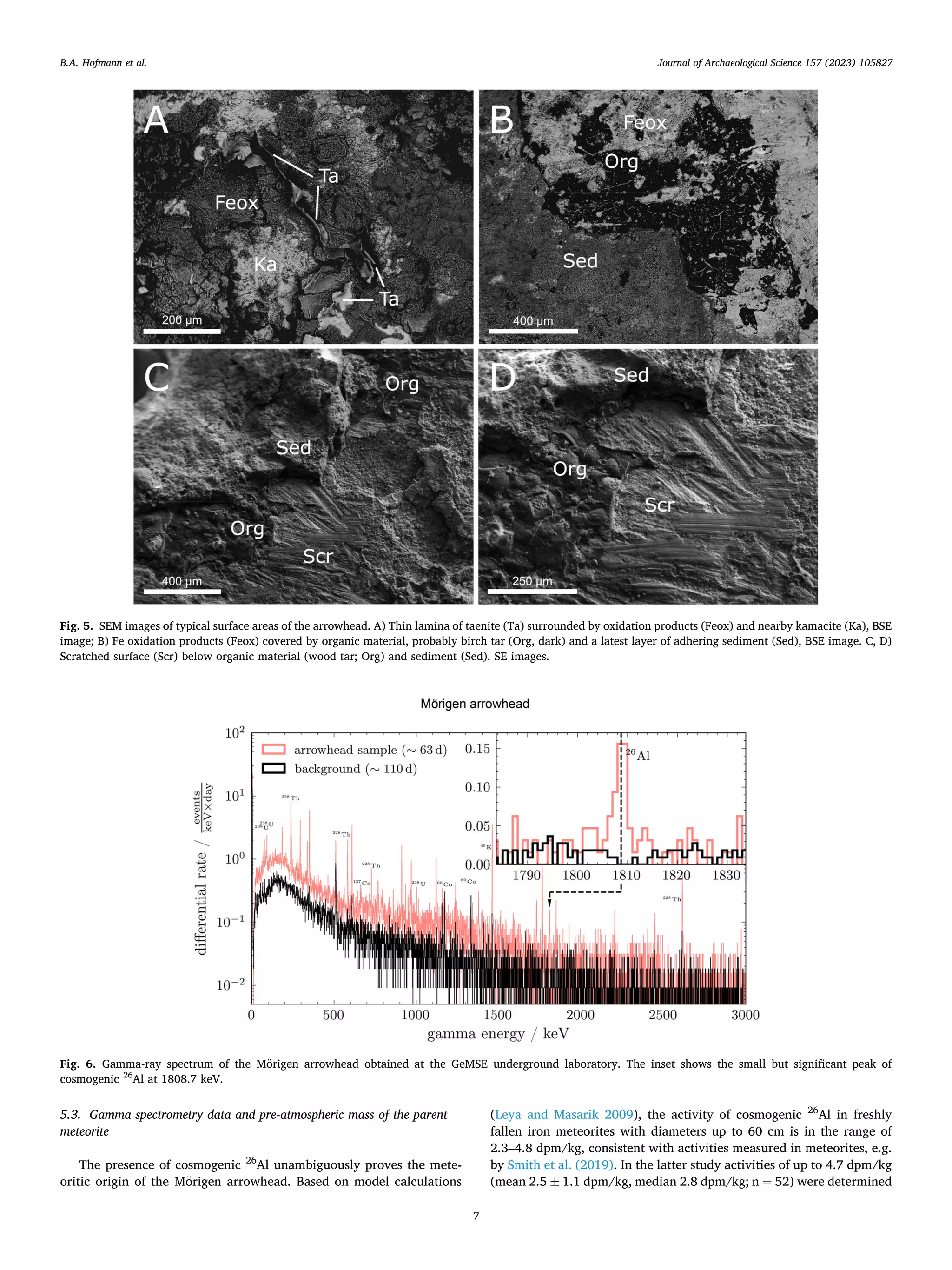 Journal of Archaeological Science 157 (2023) 105827
7
5.3. Gamma spectrometry data and pre-atmospheric mass of the parent
meteorite
The presence of cosmogenic 26
Al unambiguously proves the mete­
oritic origin of the Mörigen arrowhead. Based on model calculations
(Leya and Masarik 2009), the activity of cosmogenic 26
Al in freshly
fallen iron meteorites with diameters up to 60 cm is in the range of
2.3–4.8 dpm/kg, consistent with activities measured in meteorites, e.g.
by Smith et al. (2019). In the latter study activities of up to 4.7 dpm/kg
(mean 2.5 ± 1.1 dpm/kg, median 2.8 dpm/kg; n = 52) were determined
Fig. 5. SEM images of typical surface areas of the arrowhead. A) Thin lamina of taenite (Ta) surrounded by oxidation products (Feox) and nearby kamacite (Ka), BSE
image; B) Fe oxidation products (Feox) covered by organic material, probably birch tar (Org, dark) and a latest layer of adhering sediment (Sed), BSE image. C, D)
Scratched surface (Scr) below organic material (wood tar; Org) and sediment (Sed). SE images.
Fig. 6. Gamma-ray spectrum of the Mörigen arrowhead obtained at the GeMSE underground laboratory. The inset shows the small but significant peak of
cosmogenic 26
Al at 1808.7 keV.
B.A. Hofmann et al.
 