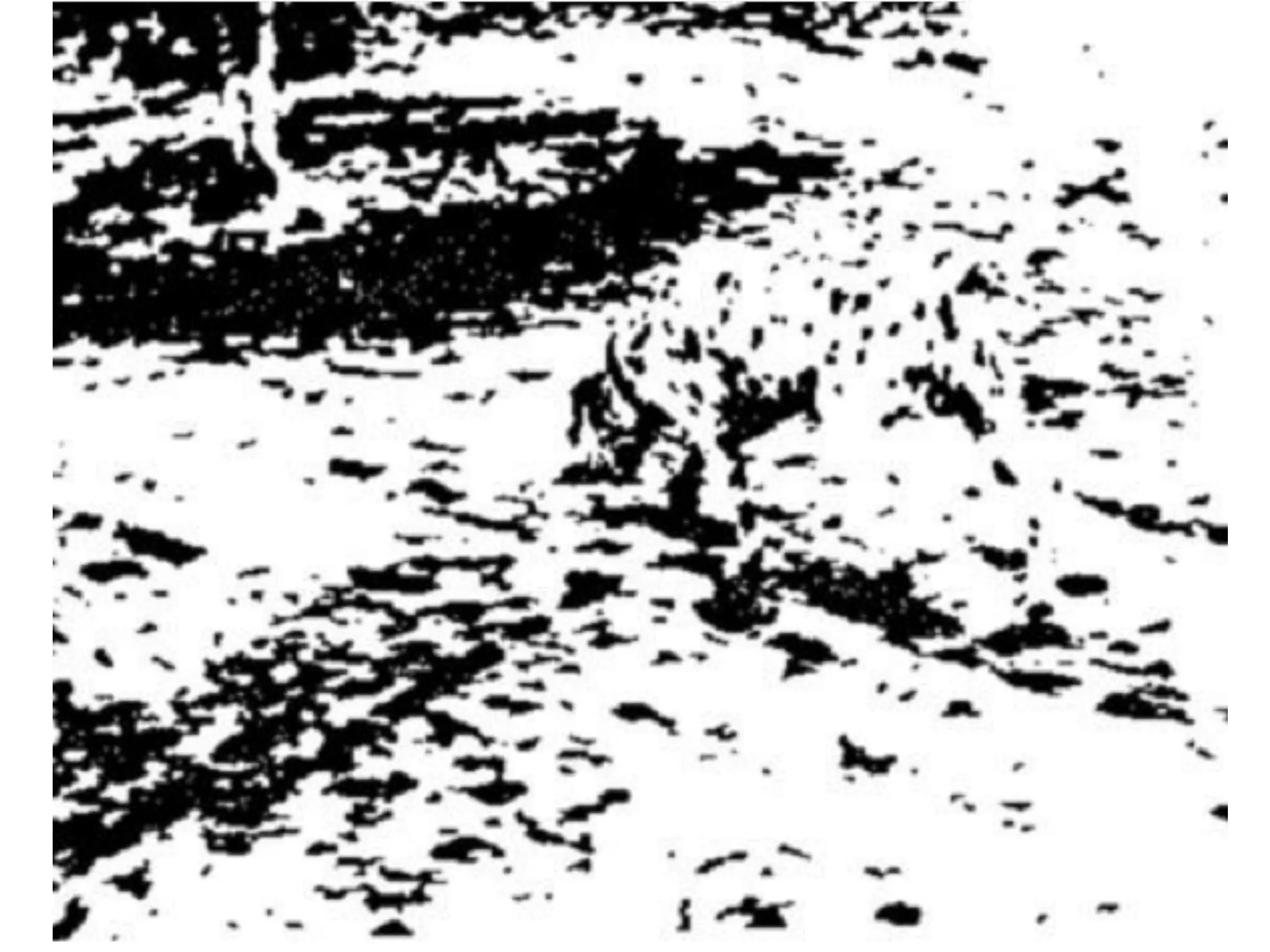 Salim Ismail - Introduction to Exponentials