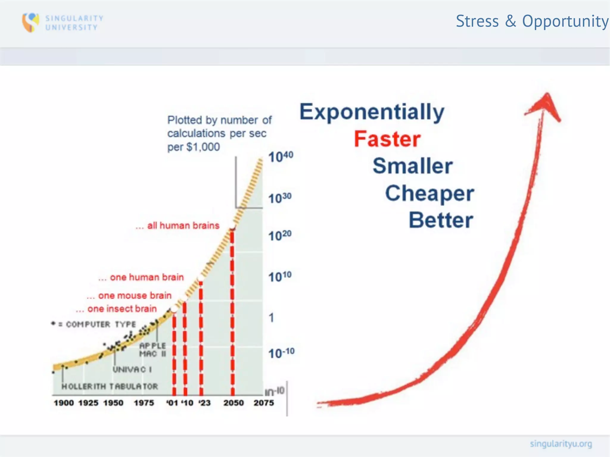 Stress & Opportunity
 