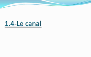 1.4-Le canal