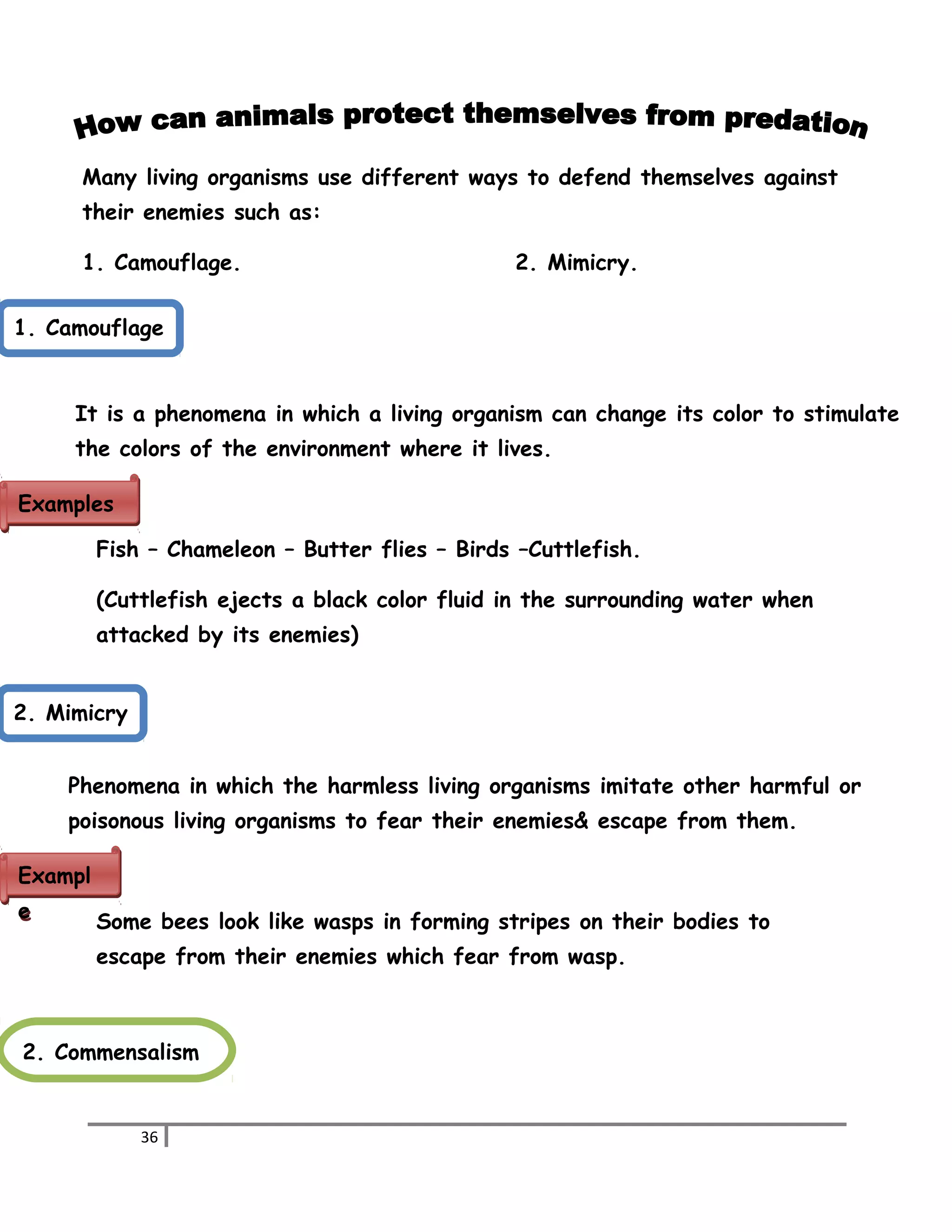 Many living organisms use different ways to defend themselves against 
their enemies such as: 
1. Camouflage. 2. Mimicry. 
1. Camouflage 
It is a phenomena in which a living organism can change its color to stimulate 
the colors of the environment where it lives. 
Fish – Chameleon – Butter flies – Birds –Cuttlefish. 
(Cuttlefish ejects a black color fluid in the surrounding water when 
attacked by its enemies) 
Phenomena in which the harmless living organisms imitate other harmful or 
poisonous living organisms to fear their enemies& escape from them. 
Some bees look like wasps in forming stripes on their bodies to 
escape from their enemies which fear from wasp. 
36 
ExampleExampless 
2. Mimicry 
Exampl 
e 
2. Commensalism 
 