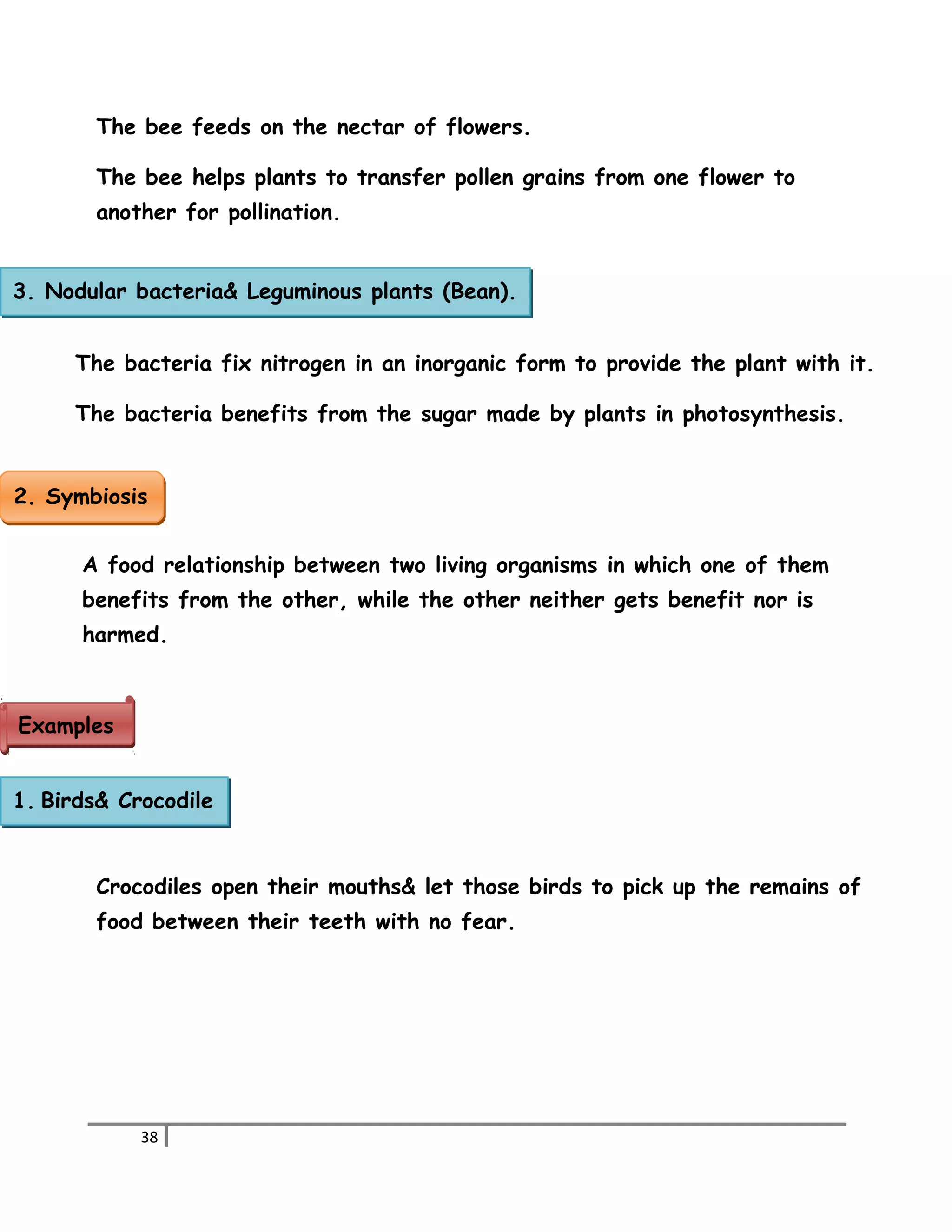 The bee feeds on the nectar of flowers. 
The bee helps plants to transfer pollen grains from one flower to 
another for pollination. 
3. Nodular bacteria& Leguminous plants (Bean). 
The bacteria fix nitrogen in an inorganic form to provide the plant with it. 
The bacteria benefits from the sugar made by plants in photosynthesis. 
22.. SSyymmbbiioossiiss 
A food relationship between two living organisms in which one of them 
benefits from the other, while the other neither gets benefit nor is 
harmed. 
Crocodiles open their mouths& let those birds to pick up the remains of 
food between their teeth with no fear. 
38 
EExxaammpplleess 
1. Birds& Crocodile 
 