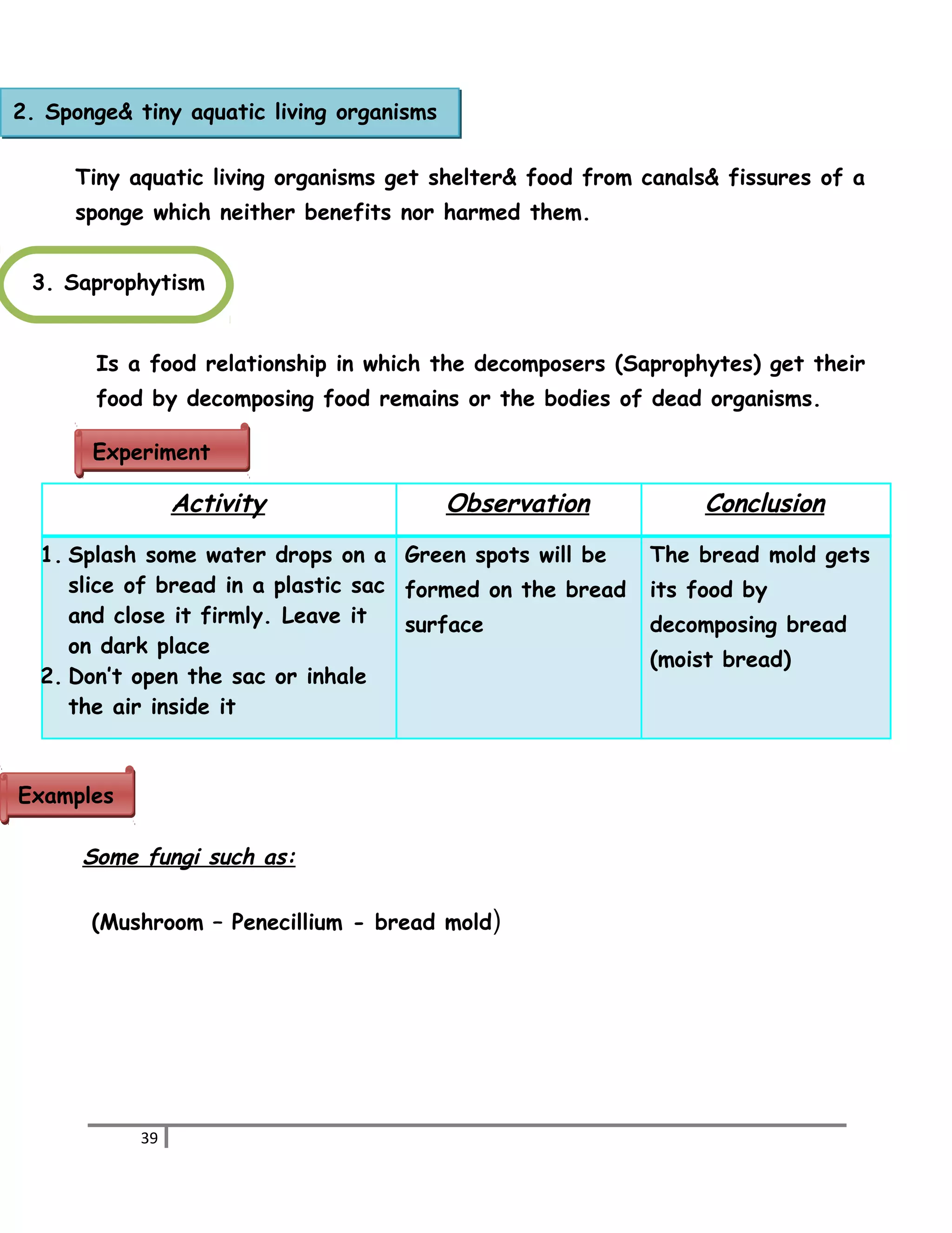 2. Sponge& tiny aquatic living organisms 
Tiny aquatic living organisms get shelter& food from canals& fissures of a 
sponge which neither benefits nor harmed them. 
3. Saprophytism 
Is a food relationship in which the decomposers (Saprophytes) get their 
food by decomposing food remains or the bodies of dead organisms. 
EExxppeerriimmeenntt 
Activity Observation Conclusion 
1. Splash some water drops on a 
slice of bread in a plastic sac 
and close it firmly. Leave it 
on dark place 
2. Don’t open the sac or inhale 
the air inside it 
Green spots will be 
formed on the bread 
surface 
The bread mold gets 
its food by 
decomposing bread 
(moist bread) 
Some fungi such as: 
(Mushroom – Penecillium - bread mold) 
39 
EExxaammpplleess 
 