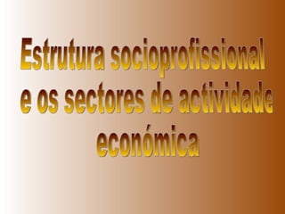 Estrutura socioprofissional e os sectores de actividade económica 