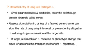  Reduced Entry of Drug into Pathogen :-
• Small polar molecules & antibiotics, enter the cell through
protein channels called Porins.
• Absence of, mutation in, or loss of a favored porin channel can
slow the rate of drug entry into a cell or prevent entry altogether
 reducing drug concentration at the target site.
• If target is intracellular  mutation or phenotypic change that
slows or abolishes this transport mechanism  resistance.
 