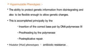  Hypermutable Phenotypes :-
• The ability to protect genetic information from disintegrating and
also to be flexible enough to allow genetic changes.
• This is accomplished principally by the
- Insertion of the correct base pair by DNApolymerase III
- Proofreading by the polymerase
- Postreplicative repair.
• Mutator (Mut) phenotypes  antibiotic resistance .
 