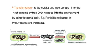 Transformation - Is the uptake and incorporation into the
host genome by free DNAreleased into the environment
by other bacterial cells. E.g. Penicillin resistance in
Pneumococci and Neisseria.
 