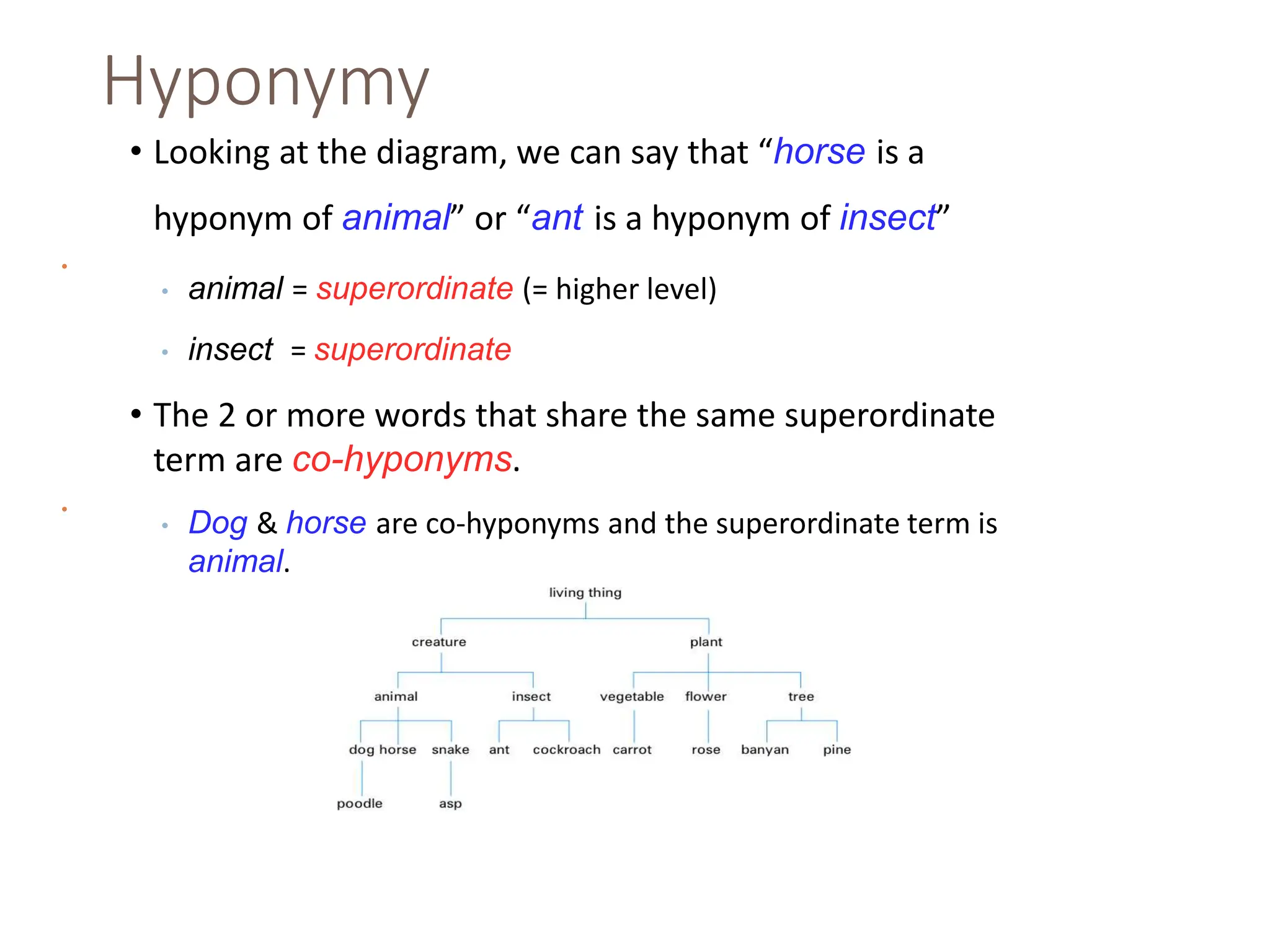 Hyponymy
• Looking at the diagram, we can say that “horse is a
hyponym of animal” or “ant is a hyponym of insect”
• animal = superordinate (= higher level)
• insect = superordinate
• The 2 or more words that share the same superordinate
term are co-hyponyms.
• Dog & horse are co-hyponyms and the superordinate term is
animal.
•
•
 