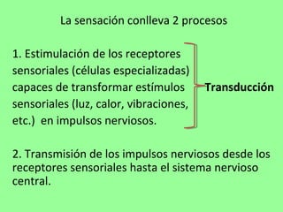 La sensación conlleva 2 procesos

1. Estimulación de los receptores
sensoriales (células especializadas)
capaces de transformar estímulos        Transducción
sensoriales (luz, calor, vibraciones,
etc.) en impulsos nerviosos.

2. Transmisión de los impulsos nerviosos desde los
receptores sensoriales hasta el sistema nervioso
central.
 