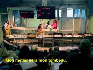 Mon métier sera mon tombeau. 