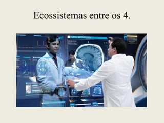Ecossistemas entre os 4.
 
