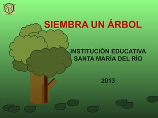 SIEMBRA UN ÁRBOL
INSTITUCIÓN EDUCATIVA
SANTA MARÍA DEL RÍO
2013
 