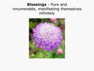 Spiritual significance of flowers