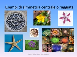 Esempi di simmetria centrale o raggiata




            Scienza e futuro - In tutti i casi simmetrico
 