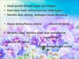 • Awak pandai kerana awak rajin belajar.
• Kami akan hadir sekirannya hari tidak hujan.
• Mereka akan datang walaupun tanpa diundang.

• klausa bebas/klausa utama     klausa tak bebas

• Beritahu cikgu bahawa kami akan menghantar
                             tugasan esok
   klausa tak bebas
                        klausa bebas/klausa utama
 