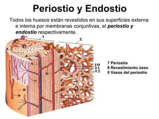 1 sistema-aseo[1] (1) | PPT