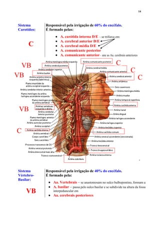 14
Sistema
Carotídeo:
C
Responsável pela irrigação de 60% do encéfalo.
É formado pelas:
 A. carótida interna D/E – se trifurca em:
 A. cerebral anterior D/E
 A. cerebral média D/E
 A. comunicante posterior
 A. comunicante anterior– une as Aa. cerebrais anteriores
Sistema
Vértebro-
Basilar:
VB
Responsável pela irrigação de 40% do encéfalo.
É formado pela:
 Aa. Vertebrais – se anastomosam no sulco bulbopontino, formam a
 A. basilar – passa pelo sulco basilar e se subdivide na altura da fossa
interpeduncular em
 Aa. cerebrais posteriores
C
C
C
C
VB
VB
VB
 