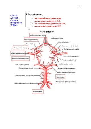 15
Círculo
Arterial
Cerebral
(Polígono de
Willis):
É formado pelas:
 Aa. comunicantes posteriores
 Aa. cerebrais anteriores D/E
 Aa. comunicantes posteriores D/E
 Aa. cerebrais posteriores D/E
 