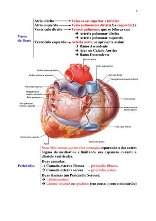 5
Vasos
da Base:
Átrio direito Veias cavas superior e inferior
Átrio esquerdo Veias pulmonares direita(2) e esquerda(2).
Ventrículo direito Tronco pulmonar, que se bifurca em:
 Artéria pulmonar direita
 Artéria pulmonar esquerda
Ventrículo esquerdo Artéria aorta, se apresenta assim:
 Ramo Ascendente
 Arco ou Cajado Aórtico
 Ramo Descendente
Pericárdio:
Saco fibro-seroso que envolve o coração, separando-o dos outros
órgãos do mediastino e limitando sua expansão durante a
diástole ventricular.
Duas camadas:
 Camada externa fibrosa – pericárdio fibroso.
 Camada externa serosa – pericárdio seroso.
Duas lâminas (no Pericárdio Seroso):
 Lâmina parietal
 Lâmina visceral ou epicárdio (em contato com o miocárdio)
 