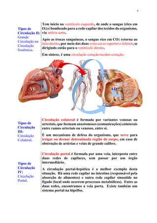 7
Tipos de
Circulação II:
Grande
Circulação ou
Circulação
Sistêmica.
Tem início no ventrículo esquerdo, de onde o sangue (rico em
O) é bombeado para a rede capilar dos tecidos do organismo,
via artéria aorta.
Após as trocas sanguíneas, o sangue rico em CO retorna ao
átrio direito, por meio das duas veias cavas superior e inferior, se
dirigindo então para o ventrículo direito.
Em síntese, é uma circulação coração-tecidos-coração.
Tipos de
Circulação
III:
Circulação
Colateral.
Circulação colateral é formada por variantes venosas ou
arteriais, que formam anastomoses (comunicações) colaterais
entre ramos arteriais ou venosos, entre si.
É um mecanismo de defesa do organismo, que serve para
irrigar ou drenar determinada região do corpo, em caso de
obstrução de artérias e veias de grande calibre.
Tipos de
Circulação
IV:
Circulação
Portal.
Circulação portal é formada por uma veia, interposta entre
duas redes de capilares, sem passar por um órgão
intermediário.
A circulação portal-hepática é o melhor exemplo desta
situação. Há uma rede capilar no intestino (responsável pela
absorção de alimentos) e outra rede capilar sinusóide no
fígado (local onde ocorrem processos metabólicos). Entre as
duas redes, encontramos a veia porta. Existe também um
sistema portal na hipófise.
ADVE
VD
 