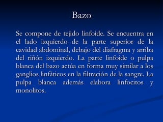 Bazo Se compone de tejido linfoide. Se encuentra en el lado izquierdo de la parte superior de la cavidad abdominal, debajo del diafragma y arriba del riñón izquierdo. La parte linfoide o pulpa blanca del bazo actúa en forma muy similar a los ganglios linfáticos en la filtración de la sangre. La pulpa blanca además elabora linfocitos y monolitos.   