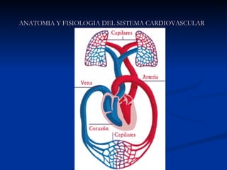 ANATOMIA Y FISIOLOGIA DEL SISTEMA CARDIOVASCULAR   