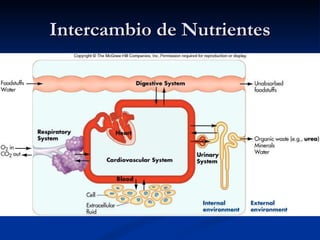Intercambio de Nutrientes 