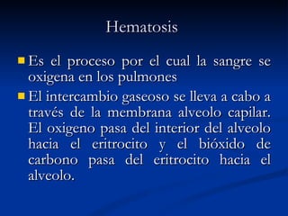 Hematosis   Es el proceso por el cual la sangre se oxigena en los pulmones El intercambio gaseoso se lleva a cabo a través de la membrana alveolo capilar. El oxigeno pasa del interior del alveolo hacia el eritrocito y el bióxido de carbono pasa del eritrocito hacia el alveolo. 