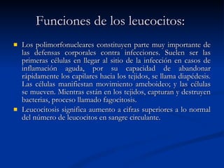 Funciones de los leucocitos:   Los polimorfonucleares constituyen parte muy importante de las defensas corporales contra infecciones. Suelen ser las primeras células en llegar al sitio de la infección en casos de inflamación aguda, por su capacidad de abandonar rápidamente los capilares hacia los tejidos, se llama diapédesis. Las células manifiestan movimiento ameboideo; y las células se mueven. Mientras están en los tejidos, capturan y destruyen bacterias, proceso llamado fagocitosis. Leucocitosis significa aumento a cifras superiores a lo normal del número de leucocitos en sangre circulante. 
