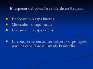 El espesor del corazón se divide en 3 capas: Endocardio o capa interna Miocardio  o capa media Epicardio  o capa externa El corazón se encuentra cubierto o protegido por una capa fibrosa llamada Pericardio. 