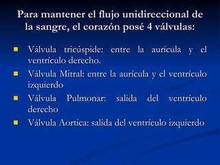 Para mantener el flujo unidireccional de la sangre, el corazón posé 4 válvulas: Válvula tricúspide: entre la aurícula y el ventrículo derecho. Válvula Mitral: entre la aurícula y el ventrículo izquierdo Válvula Pulmonar: salida del ventrículo derecho Válvula Aortica: salida del ventrículo izquierdo 