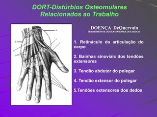 DORT-Distúrbios Osteomulares
Relacionados ao Trabalho
1. Retináculo da articulação do
carpo
2. Bainhas sinoviais dos tendõ...