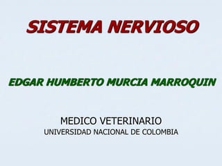 SISTEMA NERVIOSO


EDGAR HUMBERTO MURCIA MARROQUIN


        MEDICO VETERINARIO
     UNIVERSIDAD NACIONAL DE COLOMBIA
 
