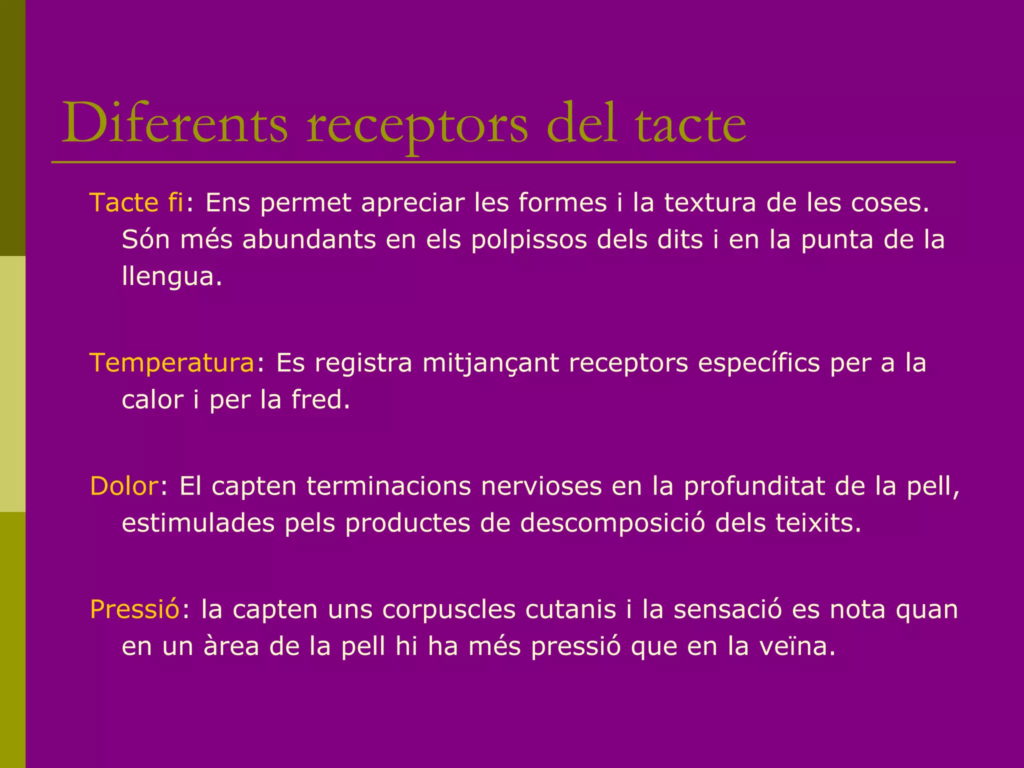 Diferents receptors del tacte
Tacte fi: Ens permet apreciar les formes i la textura de les coses.
Són més abundants en els polpissos dels dits i en la punta de la
llengua.
Temperatura: Es registra mitjançant receptors específics per a la
calor i per la fred.
Dolor: El capten terminacions nervioses en la profunditat de la pell,
estimulades pels productes de descomposició dels teixits.
Pressió: la capten uns corpuscles cutanis i la sensació es nota quan
en un àrea de la pell hi ha més pressió que en la veïna.
 