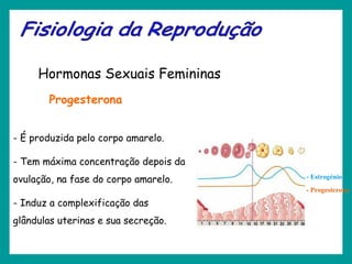 - Estrogénio
- Progesterona
Hormonas Sexuais Femininas
- É produzida pelo corpo amarelo.
- Tem máxima concentração depois da
ovulação, na fase do corpo amarelo.
- Induz a complexificação das
glândulas uterinas e sua secreção.
Progesterona
 