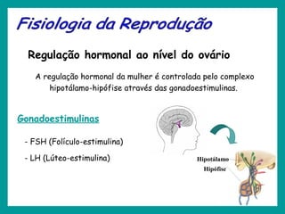 A regulação hormonal da mulher é controlada pelo complexo
hipotálamo-hipófise através das gonadoestimulinas.
Regulação hormonal ao nível do ovário
Hipotálamo
Hipófise
Gonadoestimulinas
- FSH (Folículo-estimulina)
- LH (Lúteo-estimulina)
 