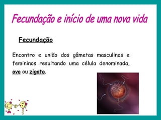 Fecundação
Encontro e união dos gâmetas masculinos e
femininos resultando uma célula denominada,
ovo ou zigoto.
 