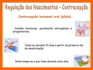 Contracepção hormonal oral (pílula)
Contém hormonas, geralmente estrogénios e
progesterona.
Toma-se durante 21 dias a partir do primeiro dia
da menstruação.
Interrompe-se a sua toma durante sete dias.
 