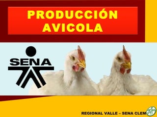 REGIONAL VALLE – SENA CLEM  PRODUCCIÓN AVICOLA 
