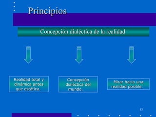 Principios Concepción dialéctica de la realidad   Realidad total y dinámica antes que estática.  Concepción dialéctica del mundo.  Mirar hacia una realidad posible.  