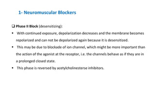 1- Skeletal Muscle Relaxants. They are divided into two main groups ...