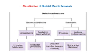 1- Skeletal Muscle Relaxants. They are divided into two main groups ...