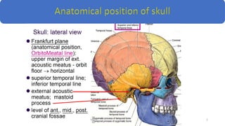 1-SKULL Lecture presentation with bones & attachments | PPTX