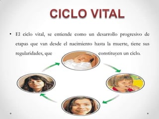 • El ciclo vital, se entiende como un desarrollo progresivo de
etapas que van desde el nacimiento hasta la muerte, tiene sus
regularidades, que constituyen un ciclo.
 