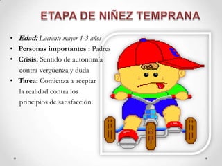 • Edad: Lactante mayor 1-3 años
• Personas importantes : Padres
• Crisis: Sentido de autonomía
contra vergüenza y duda
• Tarea: Comienza a aceptar
la realidad contra los
principios de satisfacción.
 