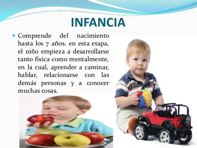 fases del desarrollo humano
