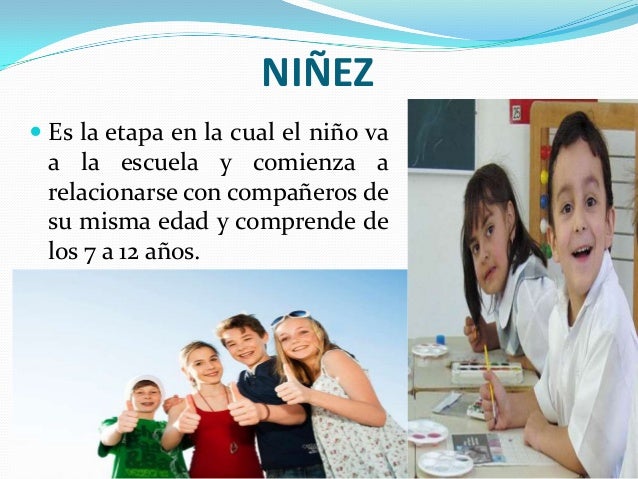 fases del desarrollo humano