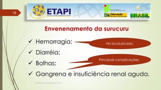 Engenheiro Zacarias Linhares Junior
1818
Envenenamento da surucuru
 Hemorragia;
 Diarréia;
 Bolhas;
 Gangrena e insuficiência renal aguda.
Principais complicações.
No local picado.
Principais complicações.
 