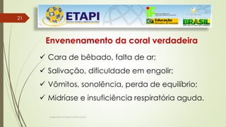Engenheiro Zacarias Linhares Junior
2121
Envenenamento da coral verdadeira
 Cara de bêbado, falta de ar;
 Salivação, dificuldade em engolir;
 Vômitos, sonolência, perda de equilíbrio;
 Midríase e insuficiência respiratória aguda.
 
